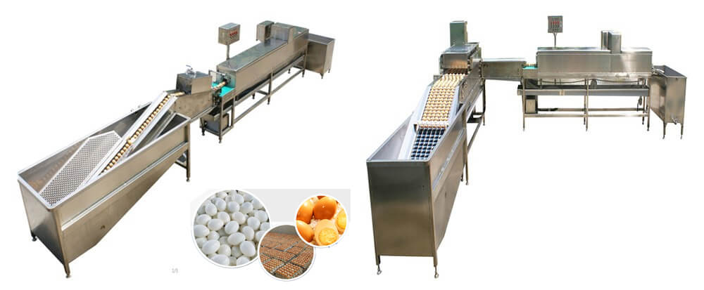Salted duck chicken egg washing machine