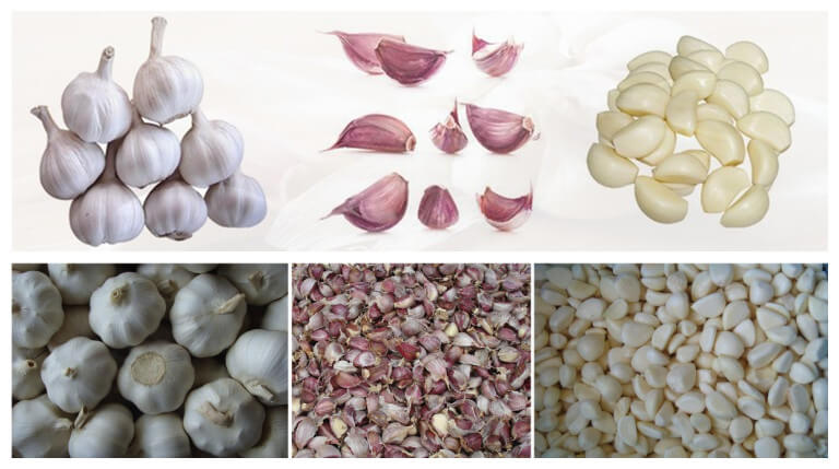peeled garlic processing steps
