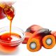 palm kernel oil Indonesia