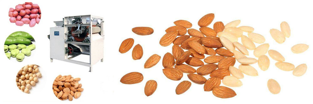 wet type almond bean peanut peeling machine