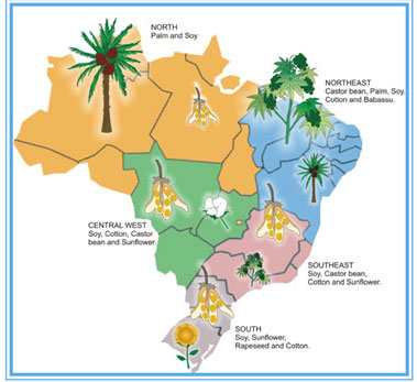 Brazil castor bean growing regions