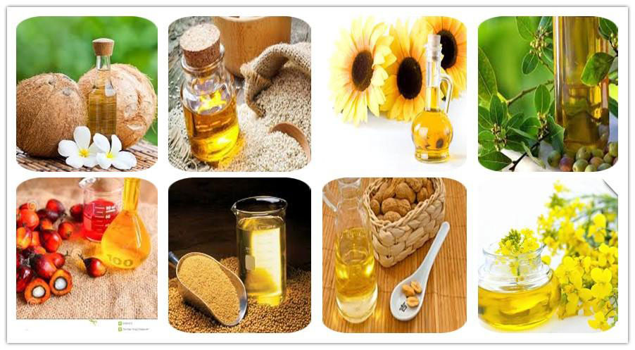 choose_the_healthful_edible_oil_made_by_oil_press_machine