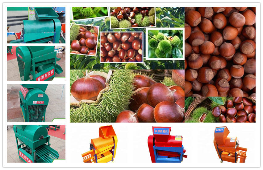 chestnut thorn shell removing machine for shelling stab shells