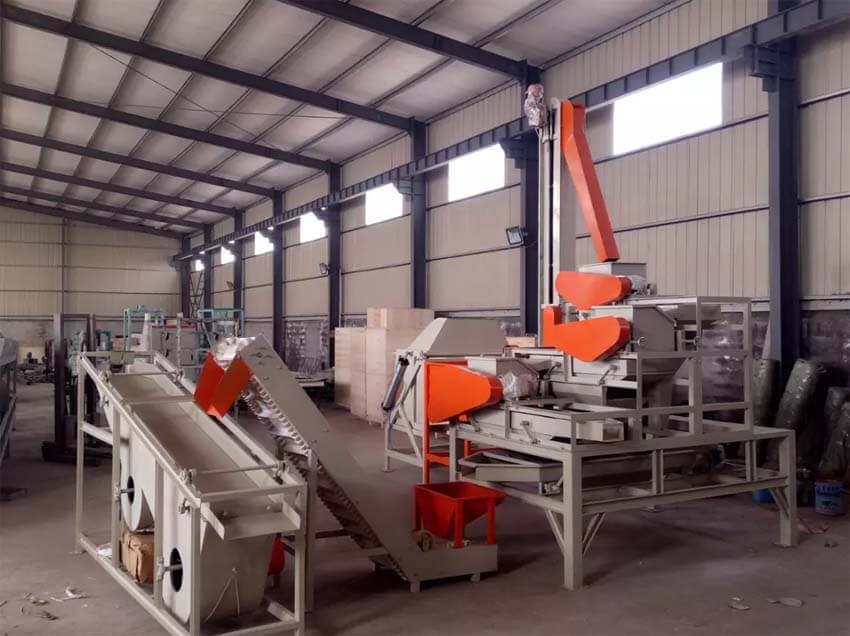 nut cracking processing line
