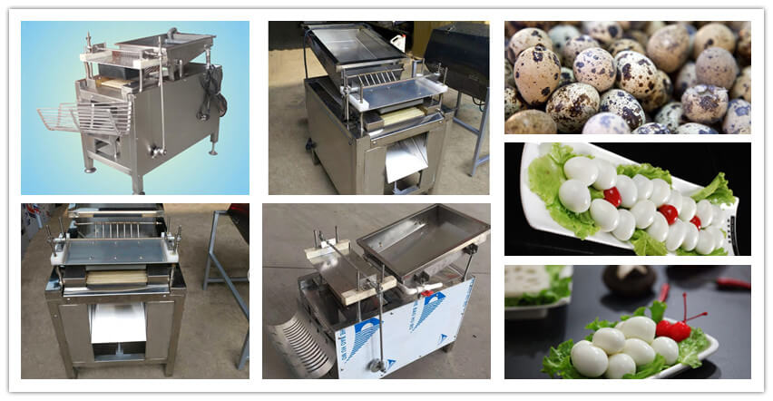 stainless steel automatic quail egg peeler