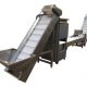 peeled garlic processing line