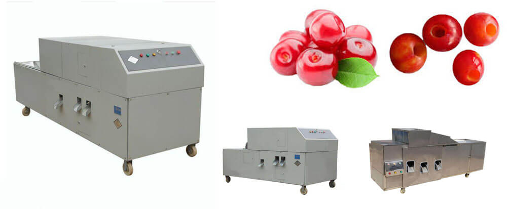 cherry kernel removal machine for sale