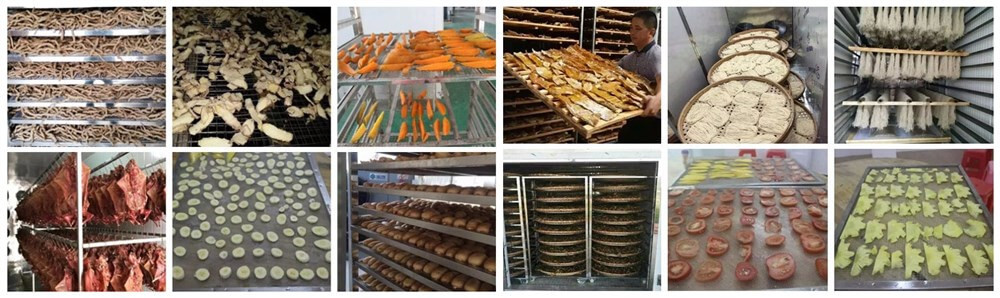 application of dryer with heat pump technology