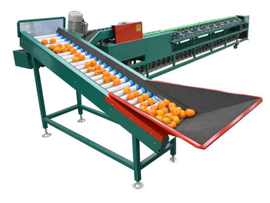 automatic fruit and vegetable sorting machine