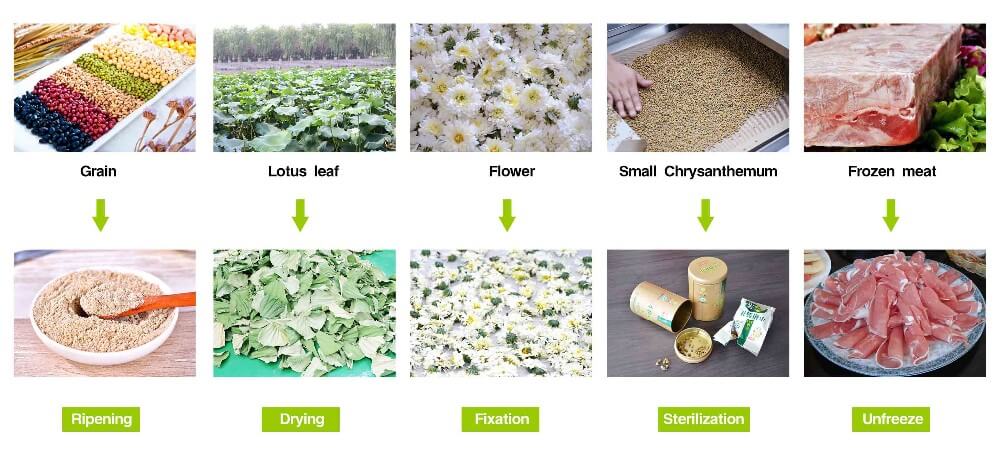 microwave continuous tunnel oven curing ripening equipment applications