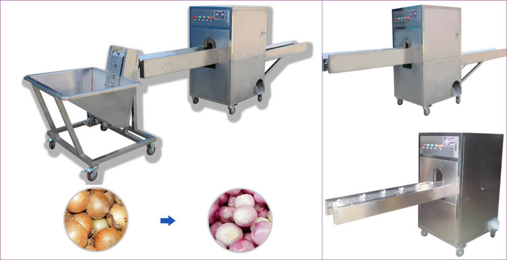 onion top and tails cutter machine