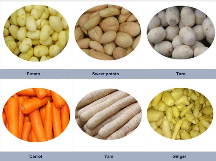 application of brush roller washing peeling machine