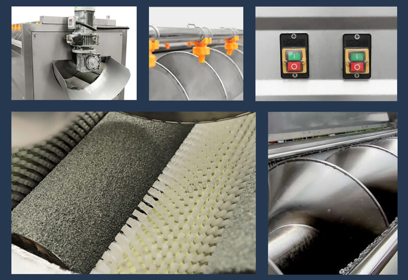 details of screw feeding type potato washing peeling machine