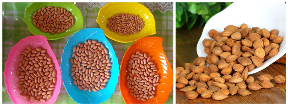 nutritious peanut kernels and almond kernels