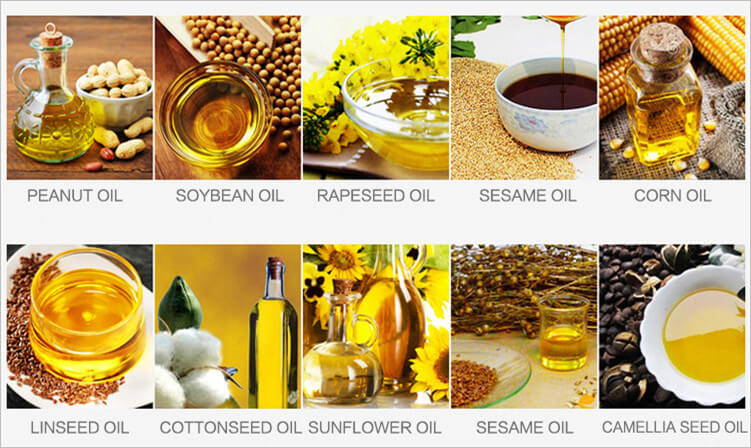 oilseeds can be processed by this screw oil press