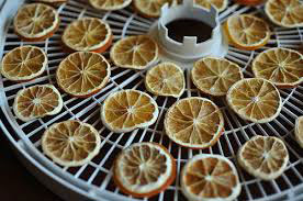 dehydrating lemons by dehydrator