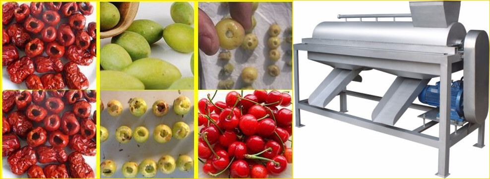 fruit stone removing machine
