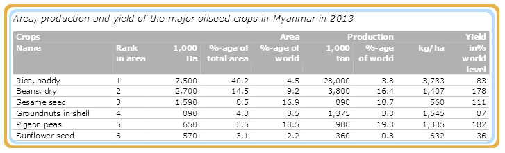 Myanmar major oilseed crops yield in_2013
