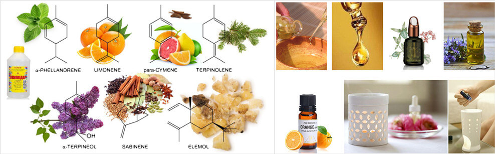 plant essential oil extraction machine application