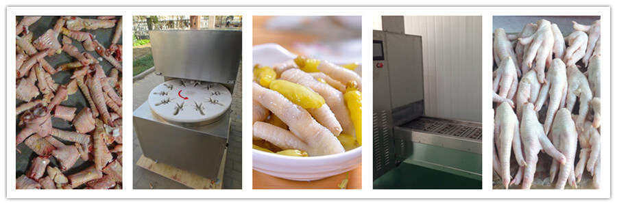 chicken feet cutting machine application chicken feet cutting machine application