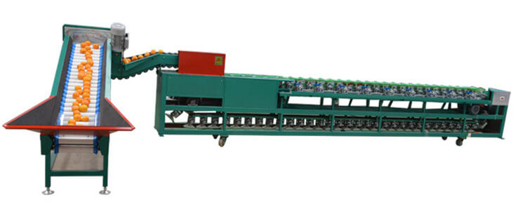 fruit sorting machine