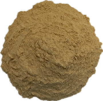 Roasted garlic powde