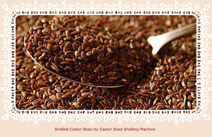 shelled castor seed by castor seed shelling machine