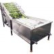 vegetable washing machine