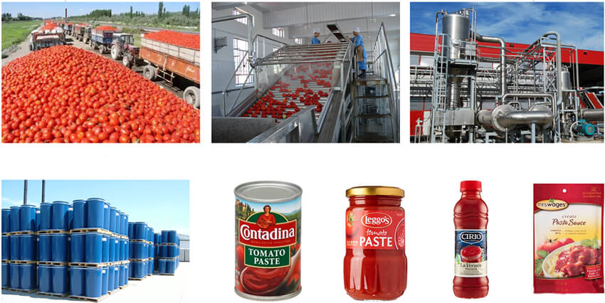 equipment for tomato ketchup production