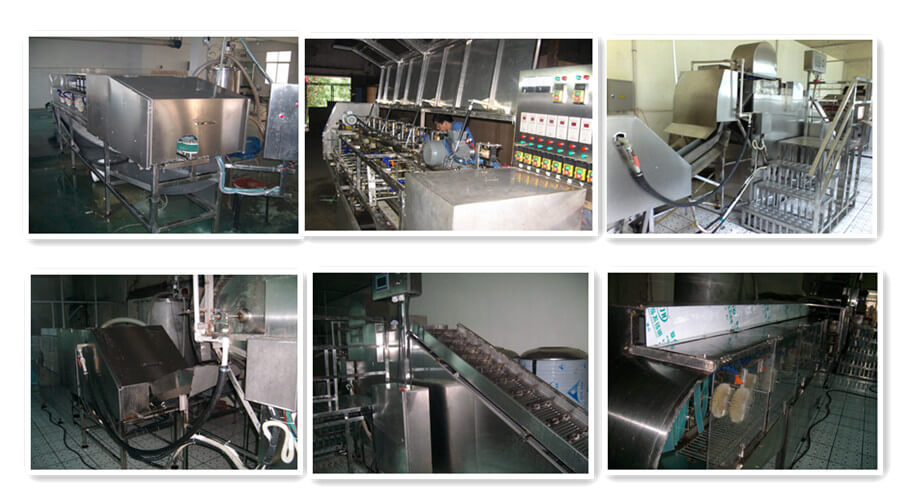 fish gutting machine fish gutting machine