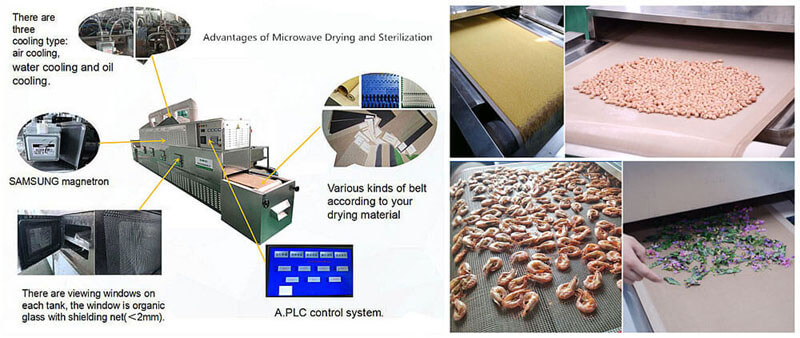 Advantages of Microwave drying of fruits and vegetables, meat